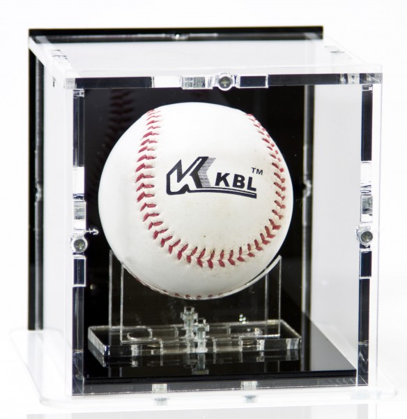 Baseball Display Case with Black Back-Panel