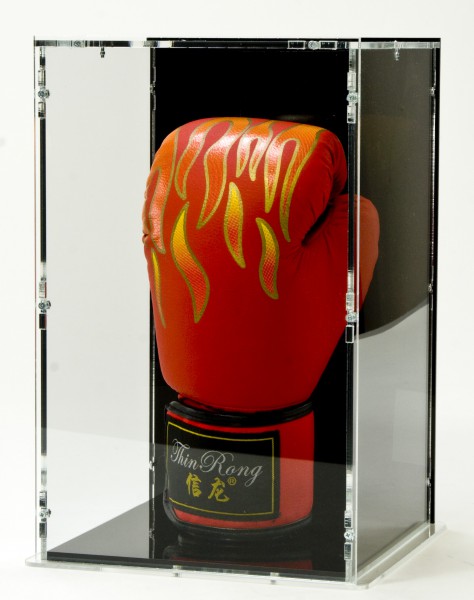 Upright Boxing Glove Case with Glove-Stand